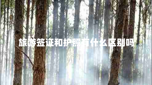 旅游簽證和護照有什么區別嗎