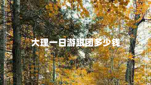 大理一日游跟團多少錢(qián)