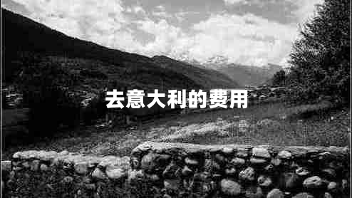 去意大利的費用