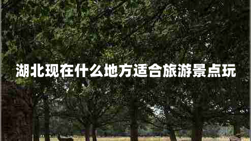 湖北現在什么地方適合旅游景點(diǎn)玩