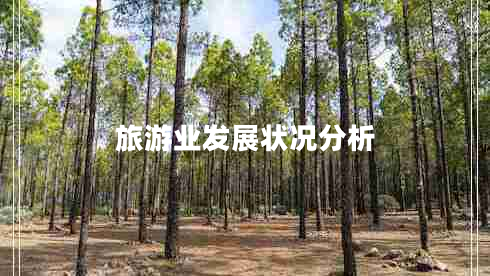 旅游業(yè)發(fā)展狀況分析
