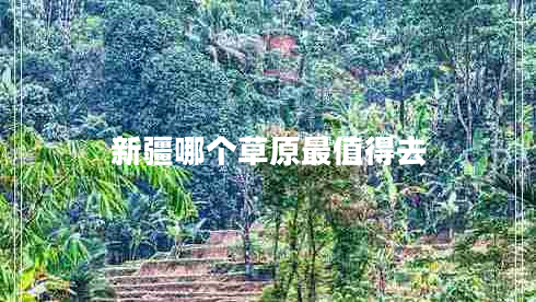 新疆哪個(gè)草原最值得去