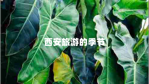 西安旅游的季節