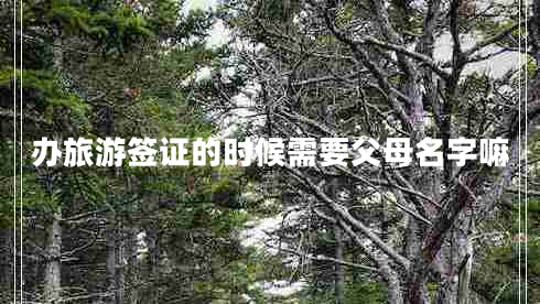 辦旅游簽證的時(shí)候需要父母名字嘛