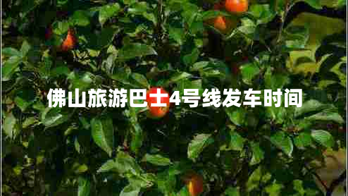 佛山旅游巴士4號線(xiàn)發(fā)車(chē)時(shí)間