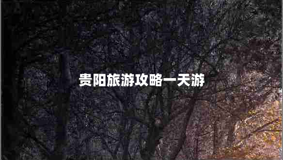 貴陽(yáng)旅游攻略一天游