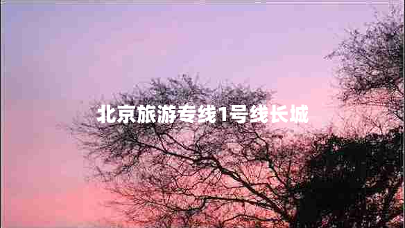 北京旅游專(zhuān)線(xiàn)1號線(xiàn)長(cháng)城