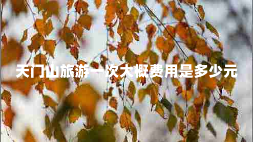 天門(mén)山旅游一次大概費用是多少元