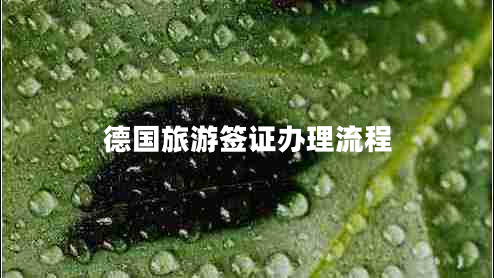 德國旅游簽證辦理流程
