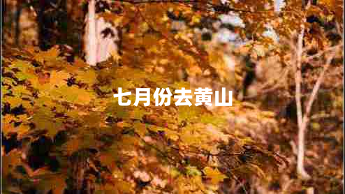七月份去黃山