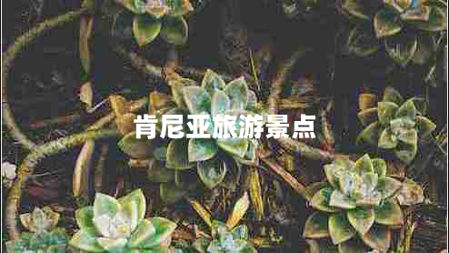 肯尼亞旅游景點(diǎn) 肯尼亞旅游景點(diǎn)