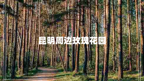 昆明周邊玫瑰花園