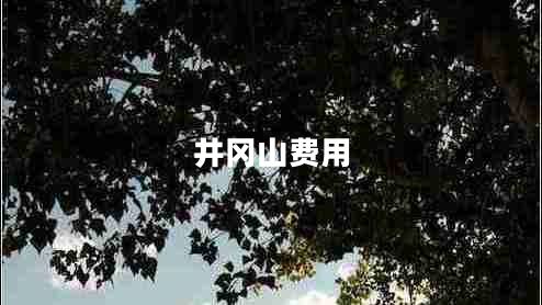 井岡山費用 井岡山費用