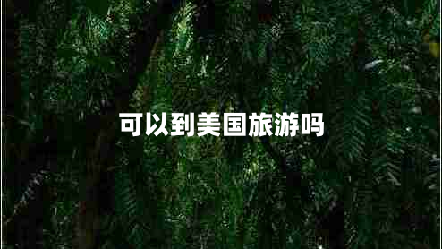 可以到美國旅游嗎