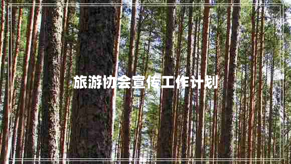旅游協(xié)會(huì )宣傳工作計劃