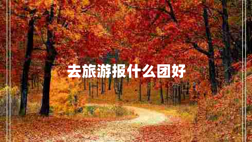 去旅游報什么團好