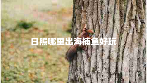 日照哪里出海捕魚(yú)好玩