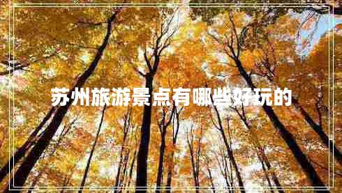蘇州旅游景點(diǎn)有哪些好玩的