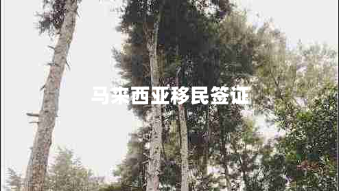 馬來(lái)西亞移民簽證