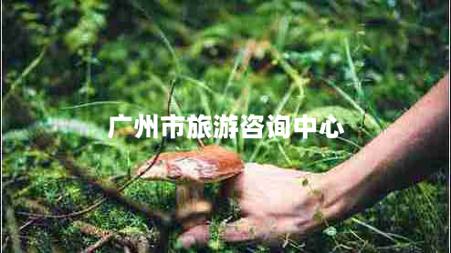廣州市旅游咨詢(xún)中心