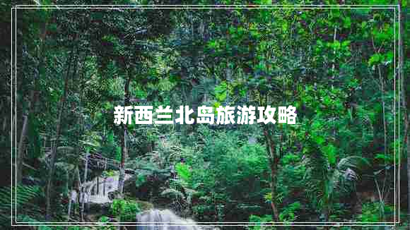 新西蘭北島旅游攻略