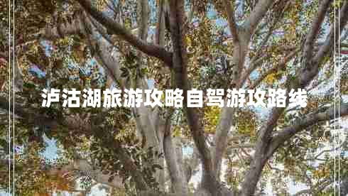 瀘沽湖旅游攻略自駕游攻路線(xiàn)