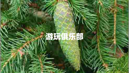 游玩俱樂(lè )部