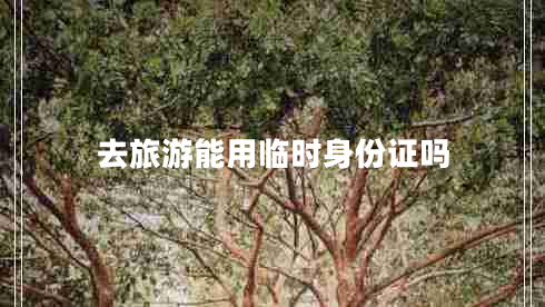 去旅游能用臨時(shí)身份證嗎