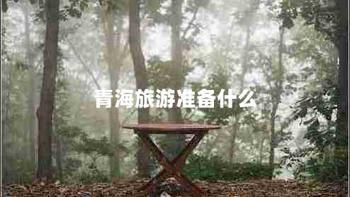青海旅游準備什么