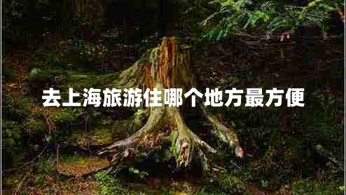 去上海旅游住哪個(gè)地方最方便