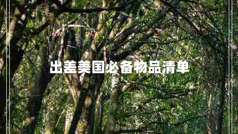 出差美國必備物品清單