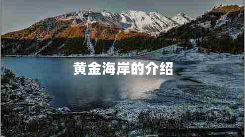 黃金海岸的介紹