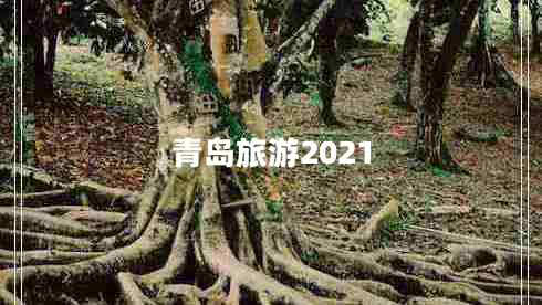 青島旅游2021