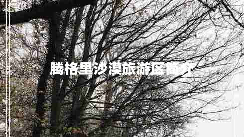 騰格里沙漠旅游區簡(jiǎn)介