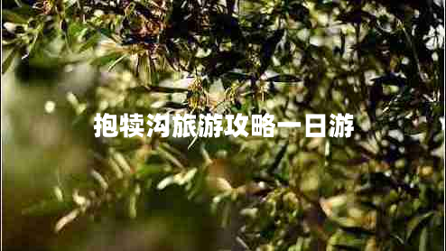 抱犢溝旅游攻略一日游