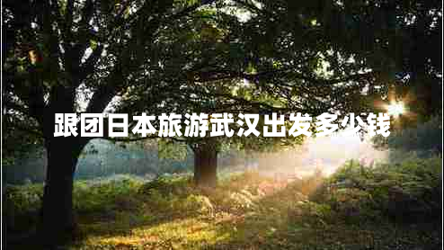 跟團日本旅游武漢出發(fā)多少錢(qián)