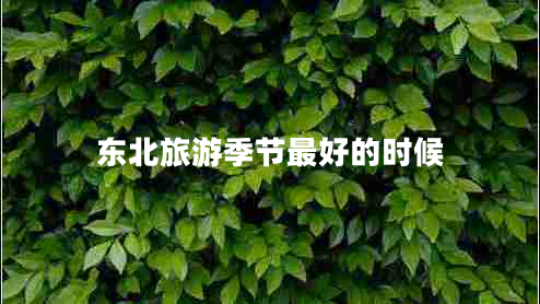 東北旅游季節最好的時(shí)候