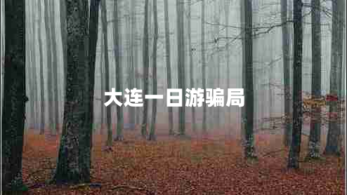 大連一日游騙局