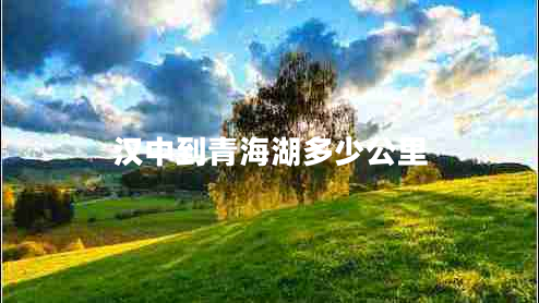 漢中到青海湖多少公里