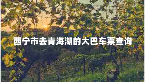 西寧市去青海湖的大巴車(chē)票查詢(xún)