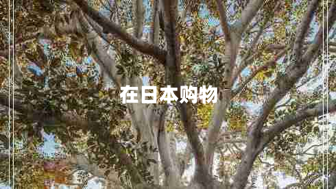 在日本購物