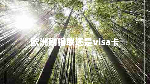 歐洲刷銀聯(lián)還是visa卡 歐洲刷銀聯(lián)還是visa卡