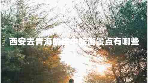 西安去青海的途中旅游景點(diǎn)有哪些