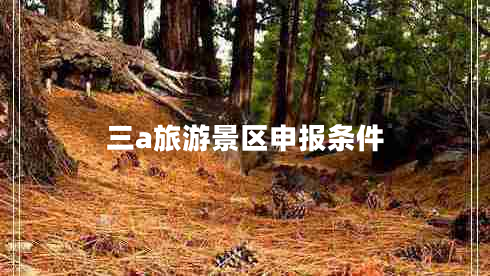 三a旅游景區申報條件