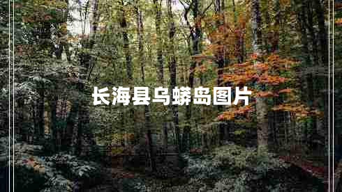 長(cháng)?？h烏蟒島圖片