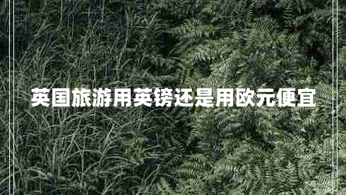 英國旅游用英鎊還是用歐元便宜