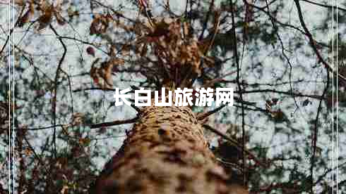 長(cháng)白山旅游網(wǎng) 長(cháng)白山旅游網(wǎng)