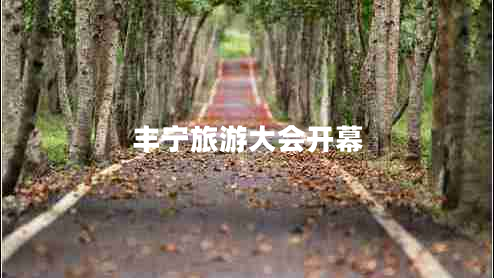 豐寧旅游大會(huì )開(kāi)幕