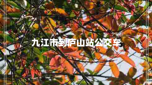 九江市到廬山站公交車(chē)