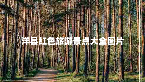 洋縣紅色旅游景點(diǎn)大全圖片